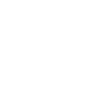 icono 3.1