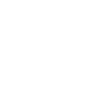 icono 3.3