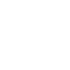 icono 4.0