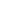 icono 4.1