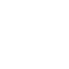 icono 4.19