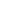 icono 4.5