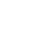 icono 4.8