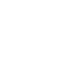 icono 4.9