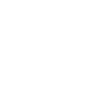 icono-5.0