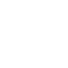 icono 8.8