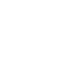 icono 9.1